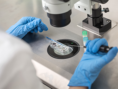 In Vitro Fertilisation